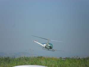 katapolemisi kounoupion 345